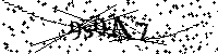 Будь ласка, введіть літери та цифри нижче