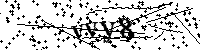 Будь ласка, введіть літери та цифри нижче